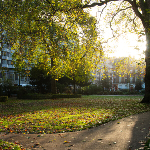 Autum in London